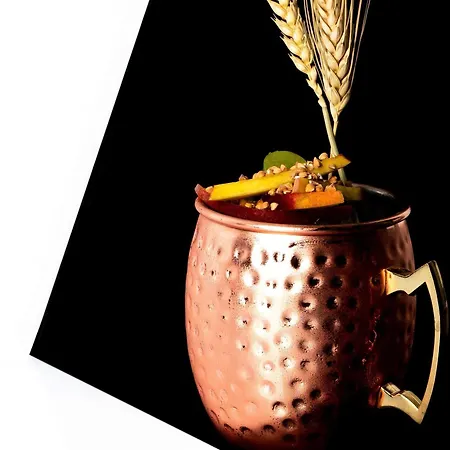 酒店 Tribe Batignolles